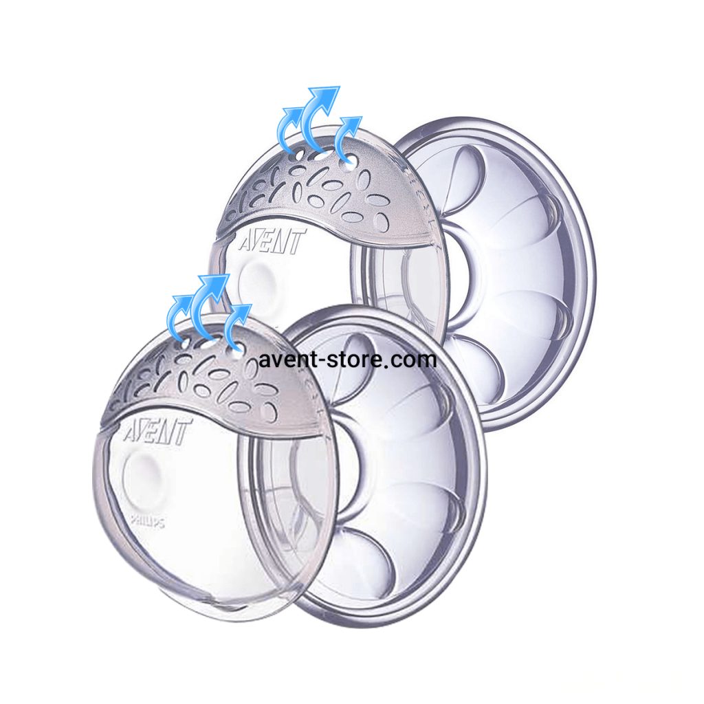 صدف سینه اونت صدف سینه اونت