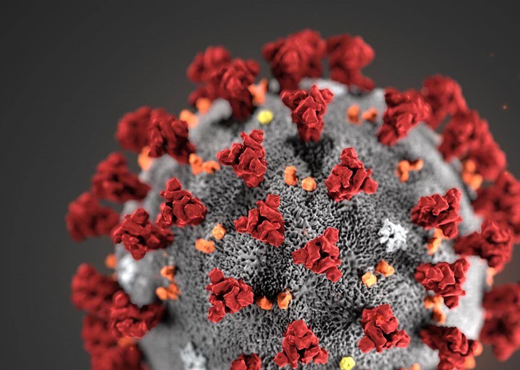 کرونا ویروس
