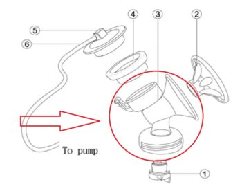 بدنه شیردوش