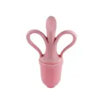 پستانک میوه خوری سیلیکونی مدل AST330 - Image 7