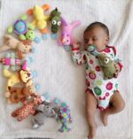 عروسک پستانک (Snuggle) مدل حیوانات AST320 - Image 2