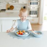 موتور پمپ شیردوش دستی