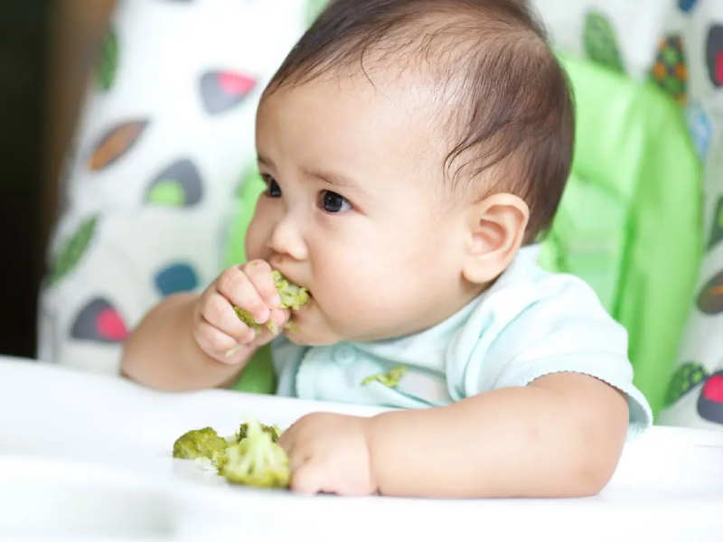 نوزاد از چند ماهگی غذا می خورد؟