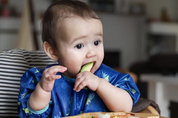 مهمترین نکات دادن آواکادو به نوزادان 4 فواید آووکادو برای نوزاد