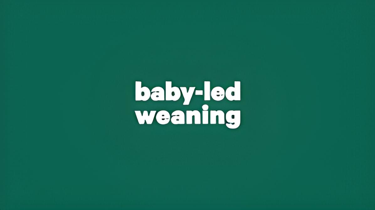 ست سیلیکونی کودک: ایمنی، کیفیت و بهترین انتخاب برای تغذیه سالم 3 ست سیلیکونی کودک: ایمنی، کیفیت و بهترین انتخاب برای تغذیه سالم 2